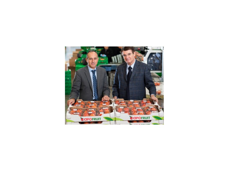 Apofruit punterà su export e prodotti a marchio Apofruit punterà su export e prodotti a marchio