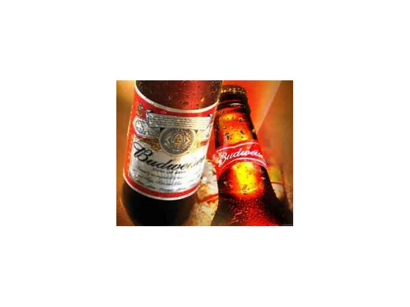 Budweiser è pronta a bersi la Corona - Distribuzione Moderna Budweiser è pronta a bersi la Corona - Distribuzione Moderna