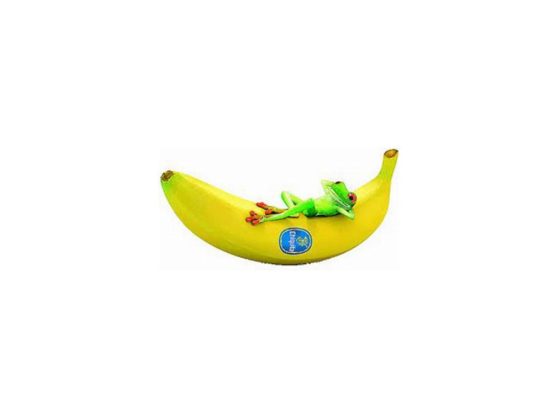 Chiquita festeggia 20 anni di collaborazione con Rainforest Alliance