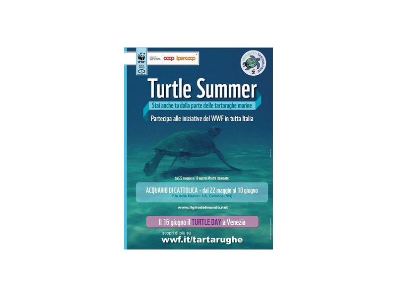 Coop e Wwf insieme per la "Turtle Summer"