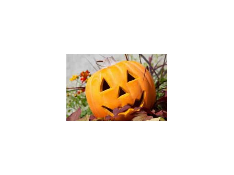 Halloween: vista la crisi, le zucche finiscono in padella Halloween: vista la crisi, le zucche finiscono in padella