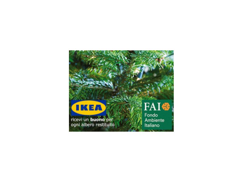 Ikea sostiene il progetto “Compra una foresta”