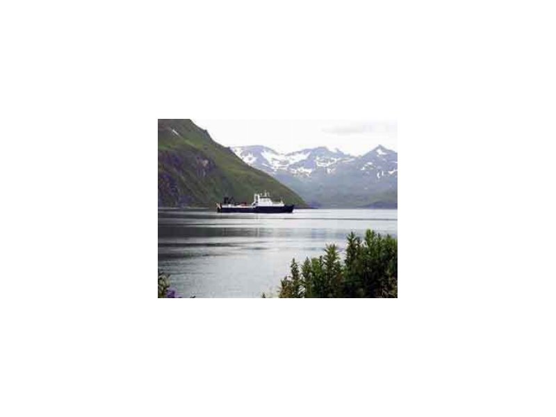 Il Pollock dell'Alaska ottiene la certificazione di Gestione Responsabile della Pesca - Distribuzione Moderna Il Pollock dell'Alaska ottiene la certificazione di Gestione Responsabile della Pesca - Distribuzione Moderna