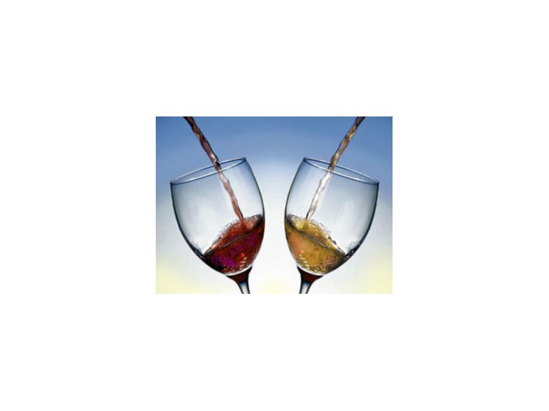 Ismea: salgono a 521 i vini Doc-Docg e Igt Ismea: salgono a 521 i vini Doc-Docg e Igt