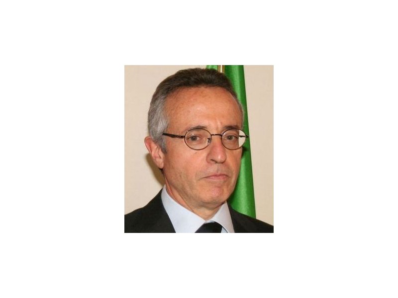 L'articolo della discordia L'articolo della discordia