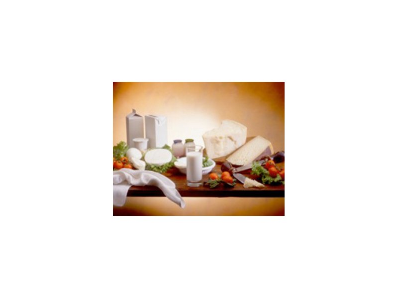 Lattiero caseario: comparto n°1 dell’alimentare italiano - Distribuzione Moderna