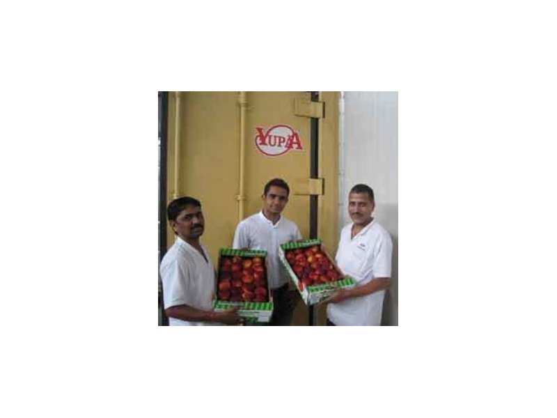 Le pesche e nettarine di Naturitalia volano in India Le pesche e nettarine di Naturitalia volano in India