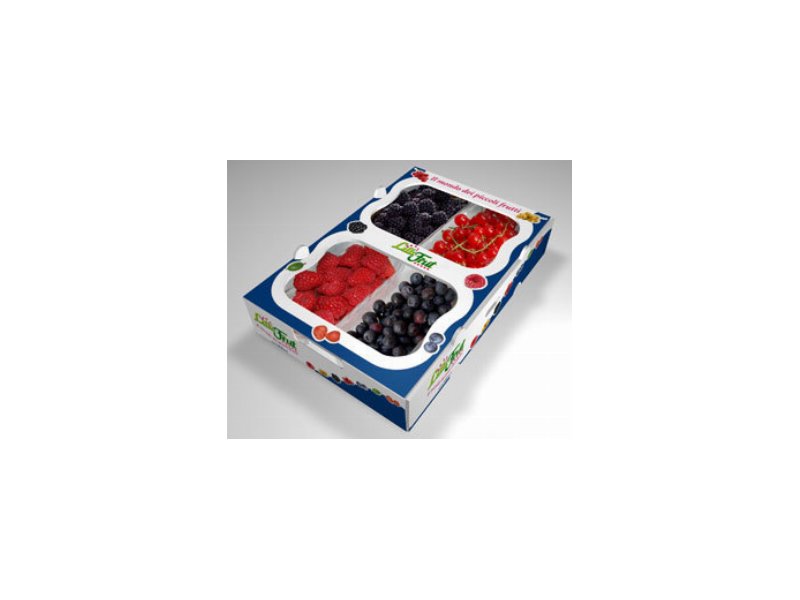 OP “Fungorobica e Piccoli Sapori” presenta la nuova gamma di frutti di bosco OP “Fungorobica e Piccoli Sapori” presenta la nuova gamma di frutti di bosco