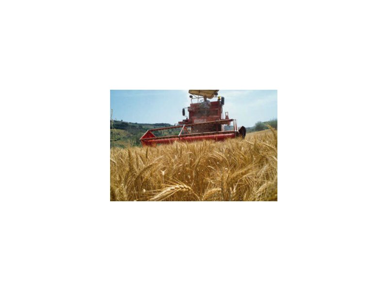 Settore agricolo: cambiano i rapporti commerciali fra produttori e distribuzione Settore agricolo: cambiano i rapporti commerciali fra produttori e distribuzione