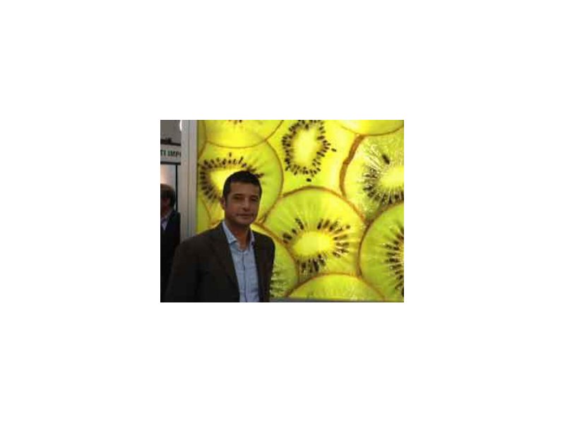 Simone Spreafico è il nuovo vice presidente del Consorzio Kiwifruit of Italy Simone Spreafico è il nuovo vice presidente del Consorzio Kiwifruit of Italy
