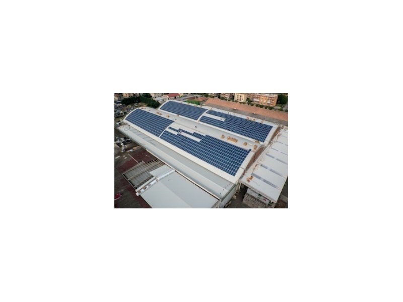 Apofruit, terminato l’impianto fotovoltaico di Altedo - Distribuzione Moderna Apofruit, terminato l’impianto fotovoltaico di Altedo - Distribuzione Moderna