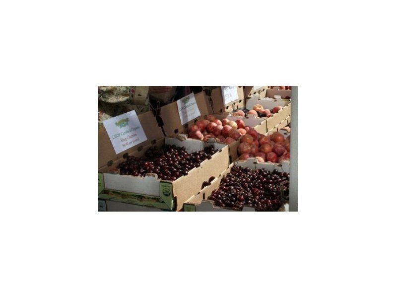 Commercio: apre a Londra “italian farmers”, cibo 100% italiano - Distribuzione Moderna Commercio: apre a Londra “italian farmers”, cibo 100% italiano - Distribuzione Moderna