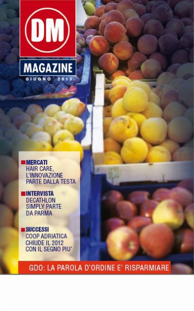 DM Magazine Giugno 2013