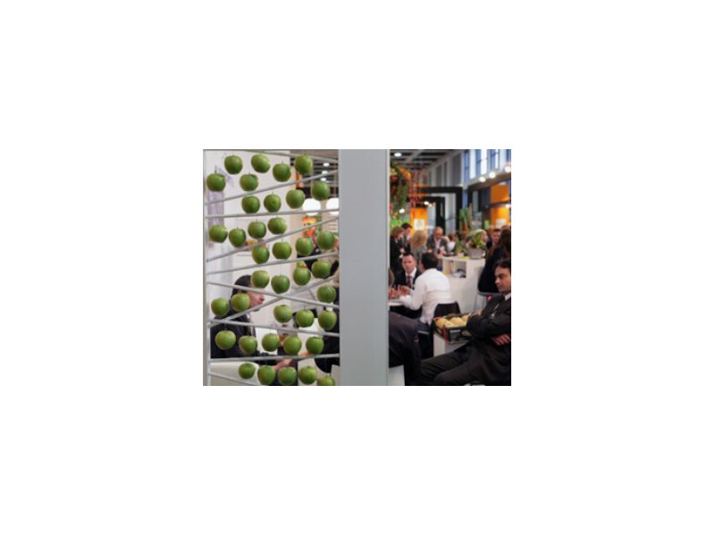 Fruit Logistica 2013 chiude con il segno piu'