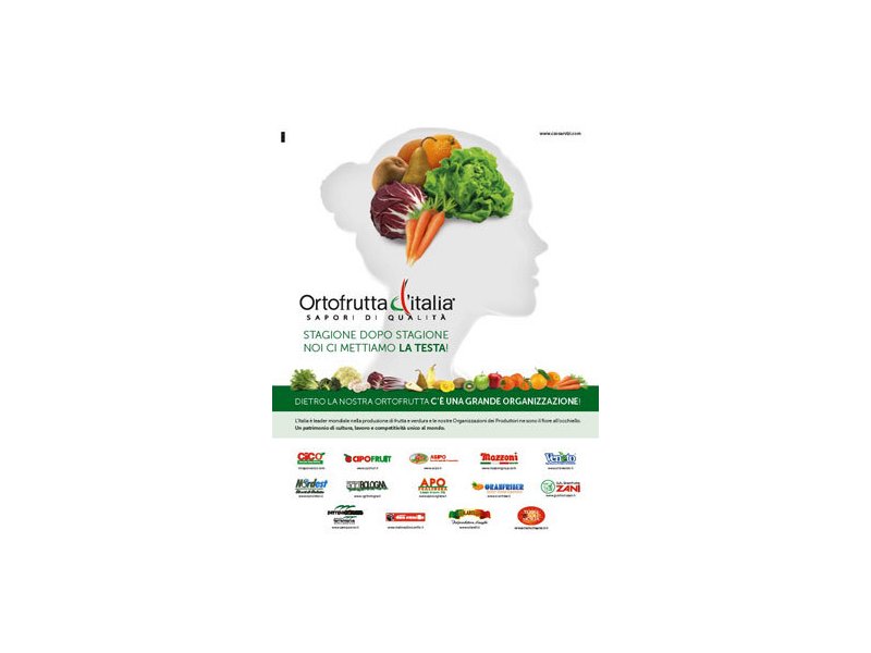 Frutta di stagione e mercato globale: le sfide dell’ortofrutta italiana Frutta di stagione e mercato globale: le sfide dell’ortofrutta italiana