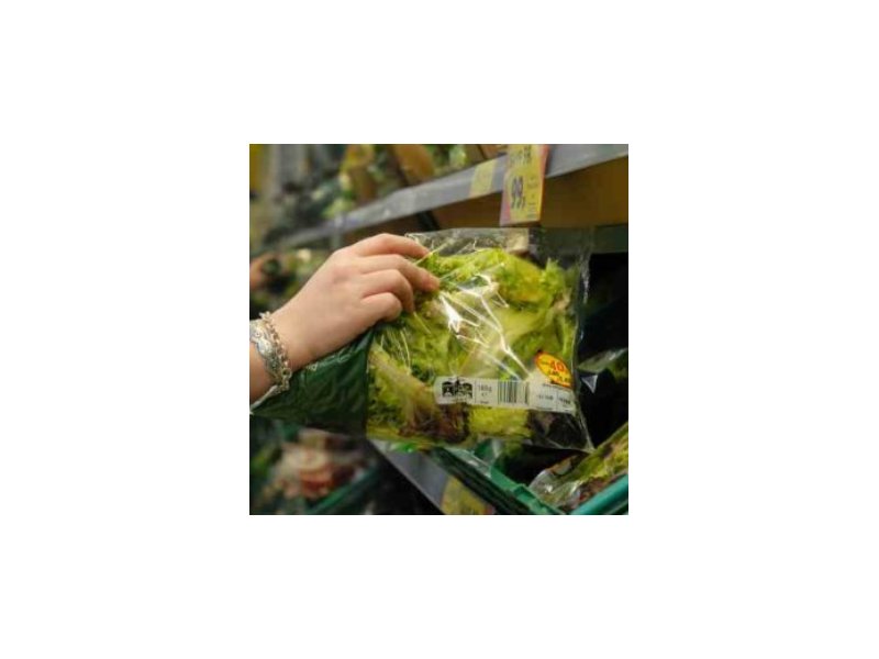 Insalate in busta: approvato il decreto che detta le regole per il mercato Insalate in busta: approvato il decreto che detta le regole per il mercato