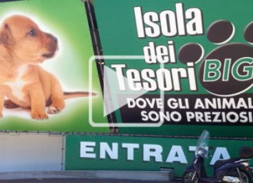 Isola dei Tesori Firenze, un Big che si distingue