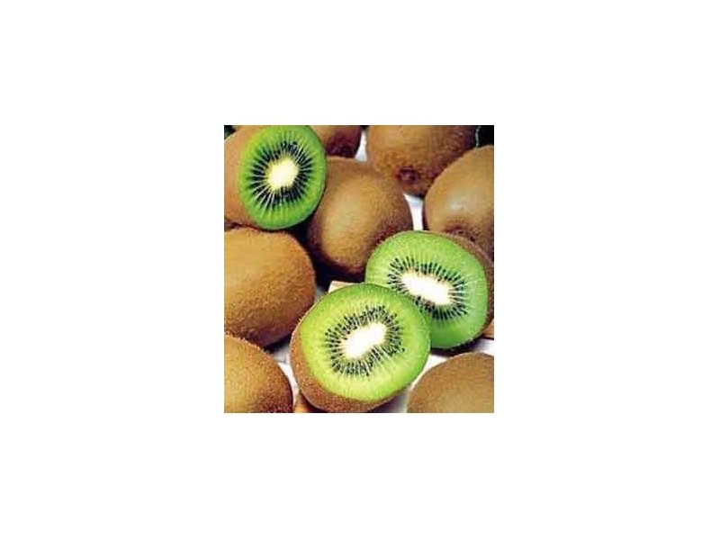 Kiwi Bio del Lazio: Apofruit divulga i risultati di due campagne promozionali e informative