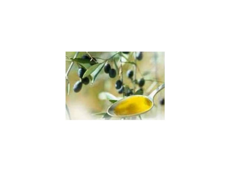 Made in Italy: entra in vigore la legge salva-olio - Distribuzione Moderna