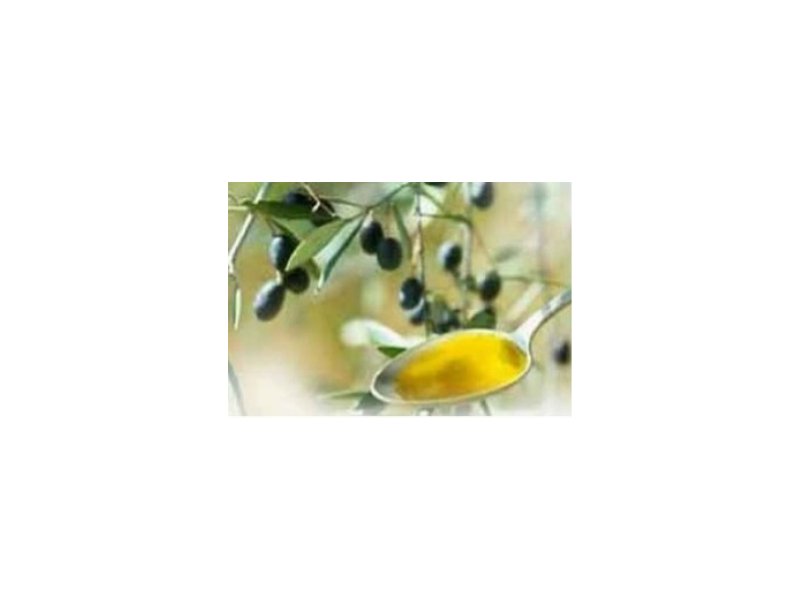 Made in Italy: entra in vigore la legge salva-olio Made in Italy: entra in vigore la legge salva-olio