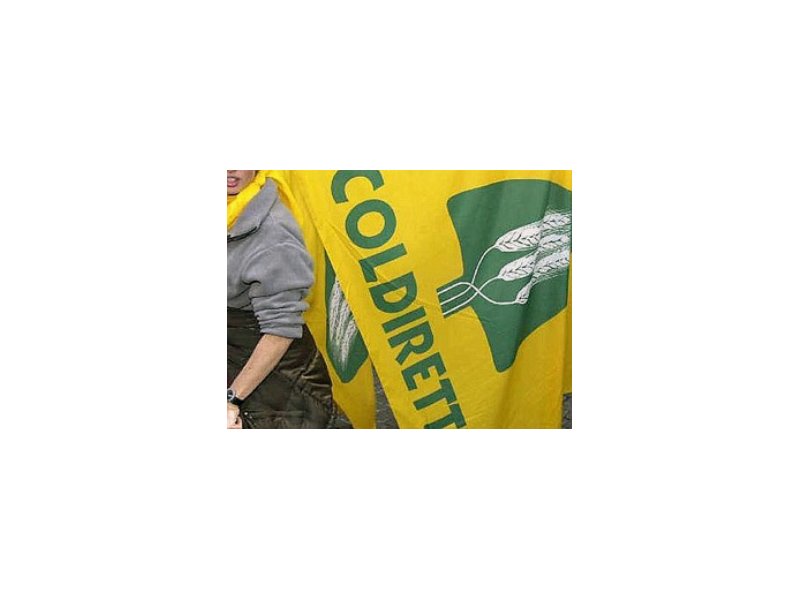 Made in italy: in tribunale la Coldiretti vince su pecorino rumeno Made in italy: in tribunale la Coldiretti vince su pecorino rumeno