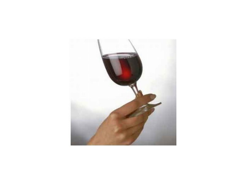 Nasce Vinitalybio, salone dedicato ai vini biologici Nasce Vinitalybio, salone dedicato ai vini biologici