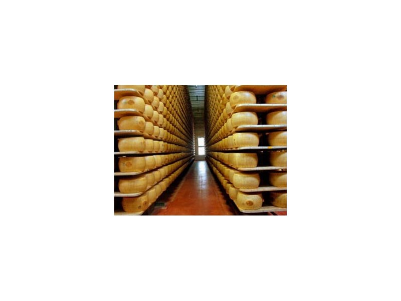Parmigiano Reggiano: al via i concerti nei caseifici Parmigiano Reggiano: al via i concerti nei caseifici