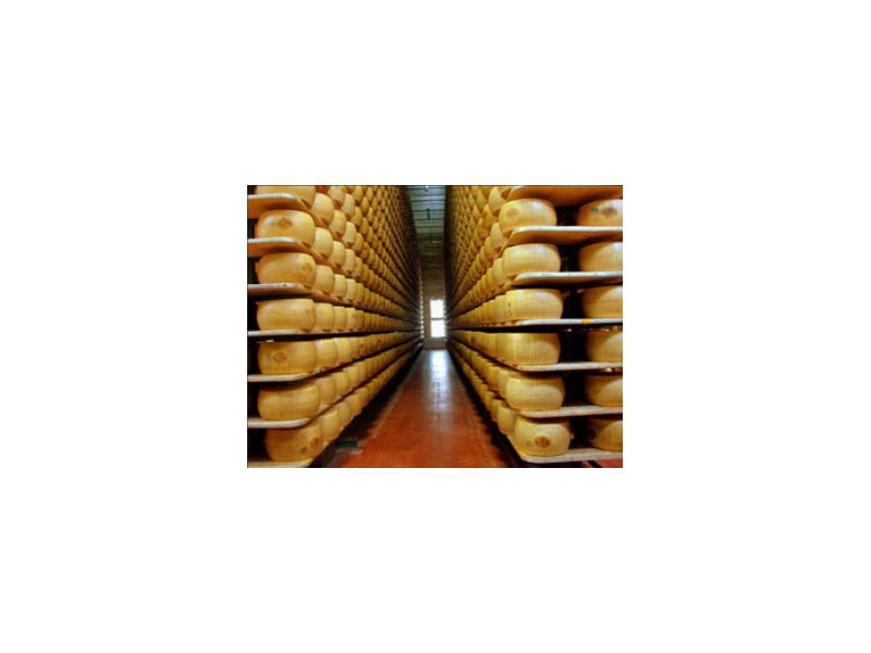 Parmigiano Reggiano: scende la produzione a maggio Parmigiano Reggiano: scende la produzione a maggio