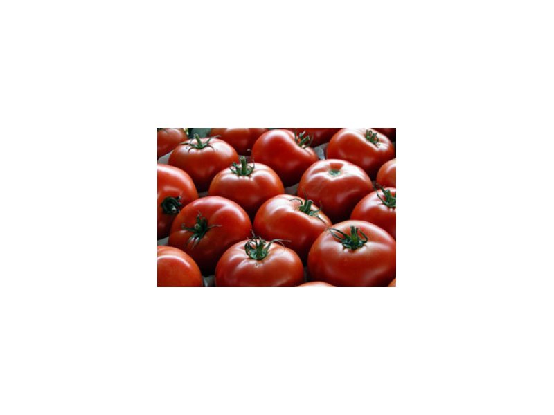 Anicav presenta i dati mondiali della trasformazione del pomodoro da industria