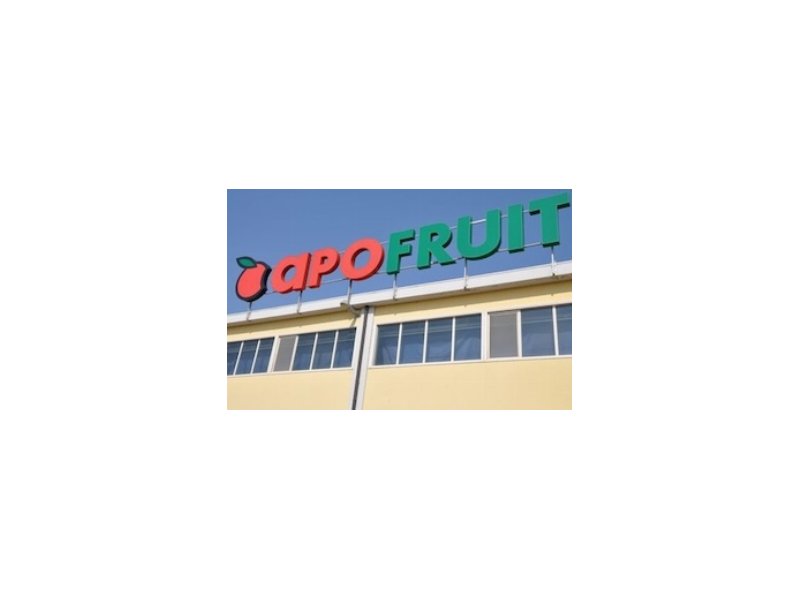 Apofruit punta a velocizzare i tempi di pagamento Apofruit punta a velocizzare i tempi di pagamento