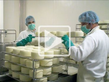 Arborea apre le porte del suo stabilimento