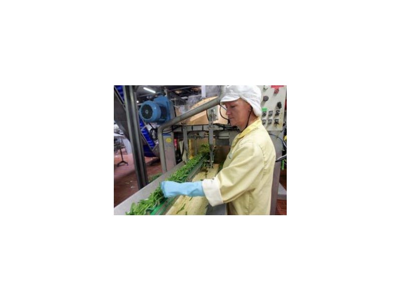 Bonduelle ristruttura il portfolio prodotti di IV Gamma Bonduelle ristruttura il portfolio prodotti di IV Gamma