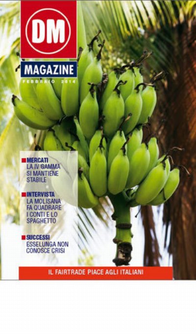 DM Magazine Febbraio 2014
