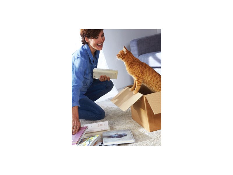 Friskies: on air il nuovo spot Friskies: on air il nuovo spot