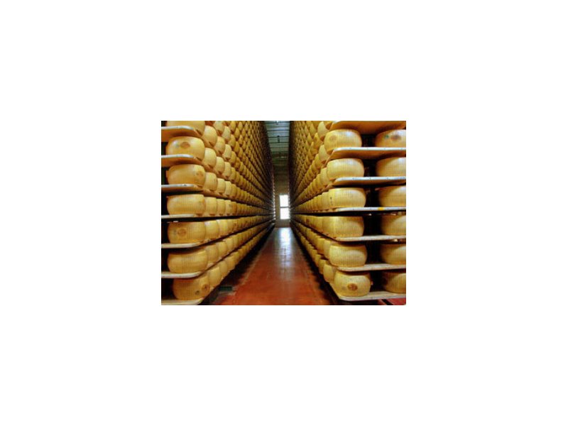 Il Parmigiano Reggiano vola all’estero Il Parmigiano Reggiano vola all’estero