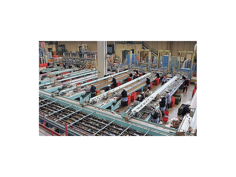 L’industria agroalimentare italiana è sempre più internazionale