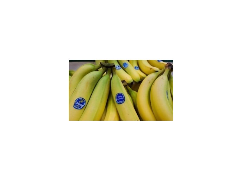 Nasce ChiquitaFyffes, il colosso delle banane Nasce ChiquitaFyffes, il colosso delle banane