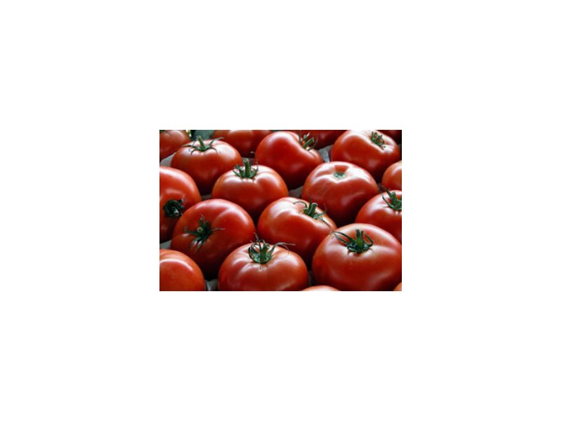 Pomodoro da industria: gli investimenti crescono del 19% Pomodoro da industria: gli investimenti crescono del 19%