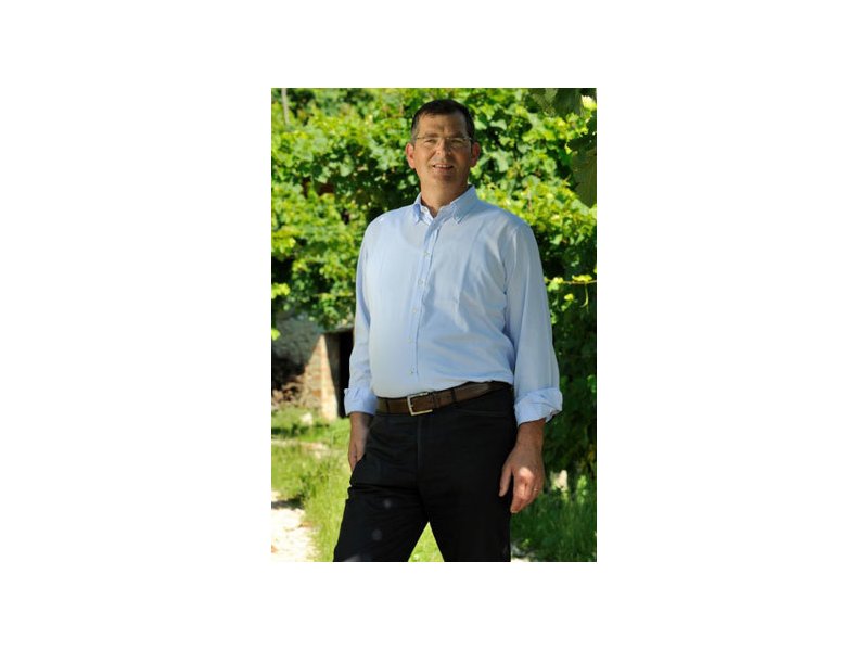 Prosecco Superiore: rieletto il presidente Innocente Nardi - Distribuzione Moderna Prosecco Superiore: rieletto il presidente Innocente Nardi - Distribuzione Moderna