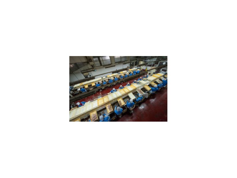 Tonno Castiglione annuncia l’installazione di un innovativo impianto a zero emissioni Tonno Castiglione annuncia l’installazione di un innovativo impianto a zero emissioni