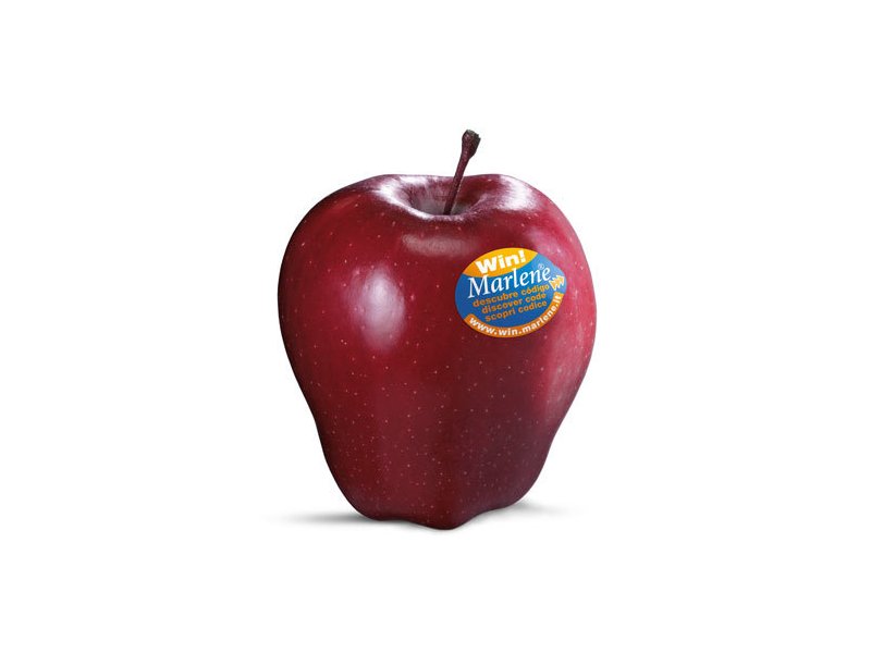 Vog: buone le premesse per la stagione 2014/15 Vog: buone le premesse per la stagione 2014/15