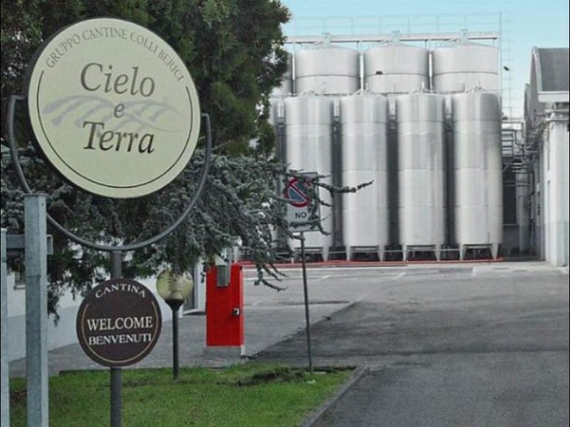 Cantina Cielo e Terra: l’export supera il 50%