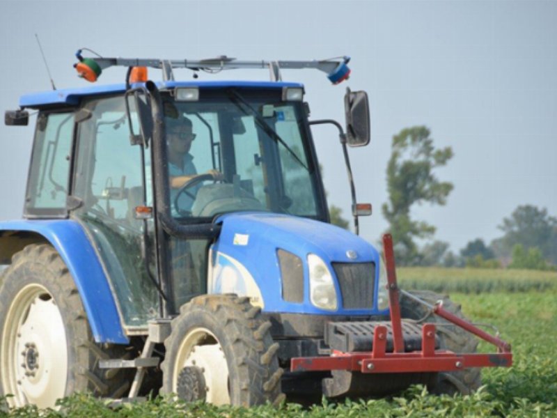 Consorzio Casalasco del Pomodoro: al via il progetto per un’agricoltura di ultima generazione Consorzio Casalasco del Pomodoro: al via il progetto per un’agricoltura di ultima generazione