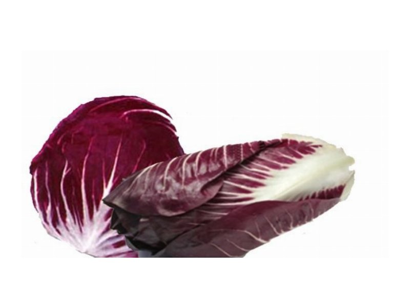 Consorzio di Tutela del radicchio igp rinnova il cda