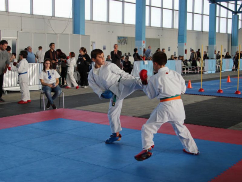 Germinal Bio è partner della Karate Venice Cup 2015