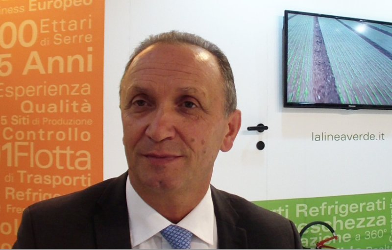 La Linea Verde totalizza oltre 200 milioni di fatturato nel 2015