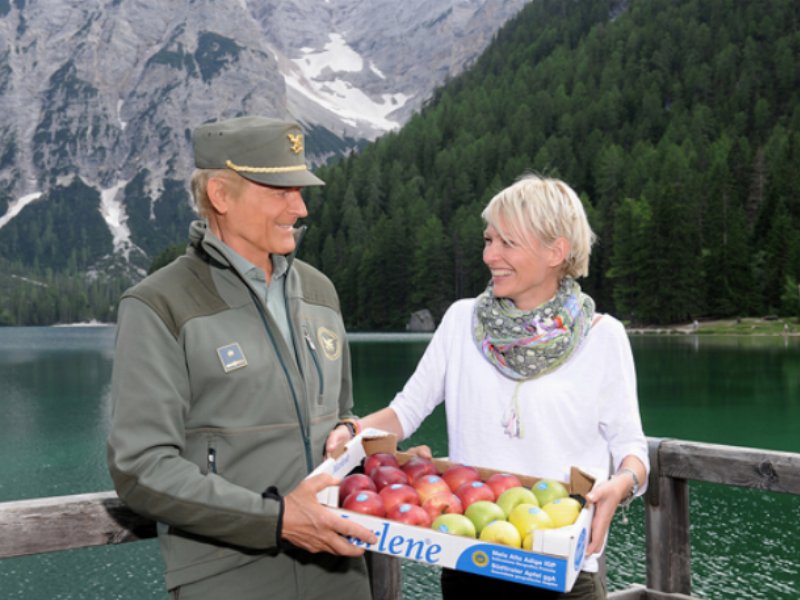 Le Mele Marlene tornano in tv