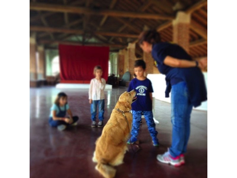 L’iniziativa Purina “A scuola di Petcare” festeggia il 10° compleanno