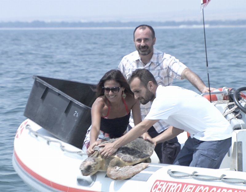 Mareblu e Legambiente salvano tartaruga marina
