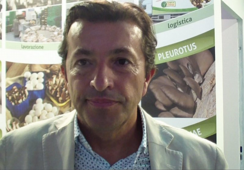 O.P. Consorzio Funghi Di Treviso "spadella il gusto" con funghi e verdure